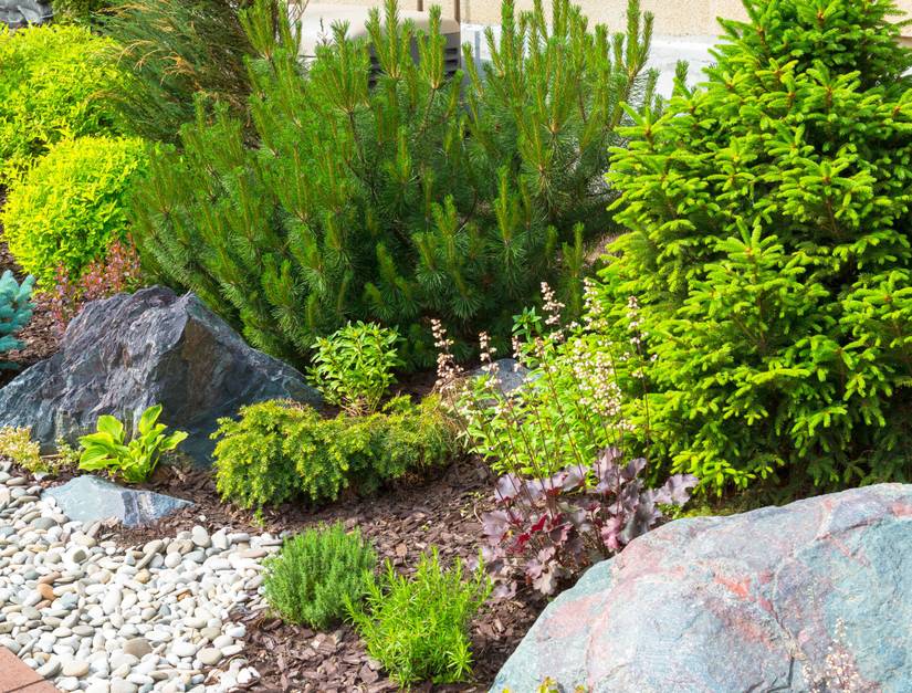 Polishing Your Landscaping Rocks: A Guide to Clean Rocks