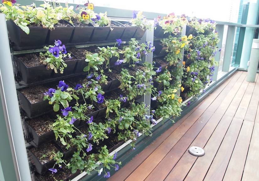 15 Awesome Container Gardening Ideas