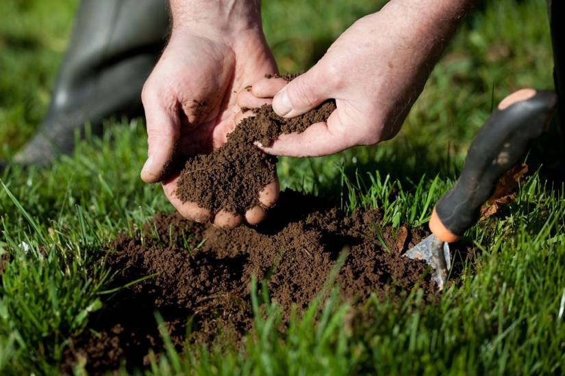 What's The Best Time of Day To Fertilize Your Plants?