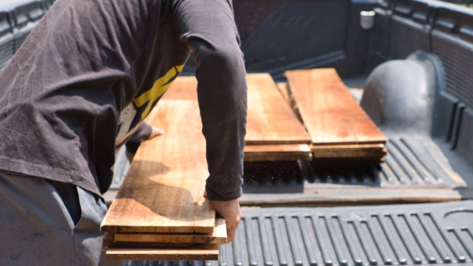 6 Rot-Resistant Woods For Your Backyard Projects