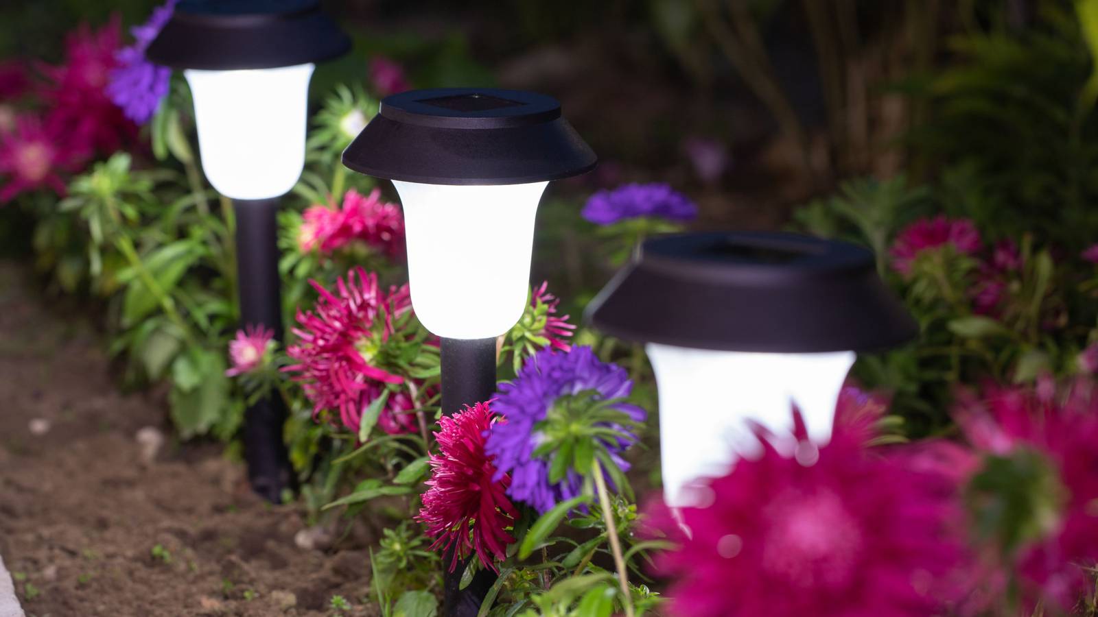 The Best Solar Lights For Your Garden
