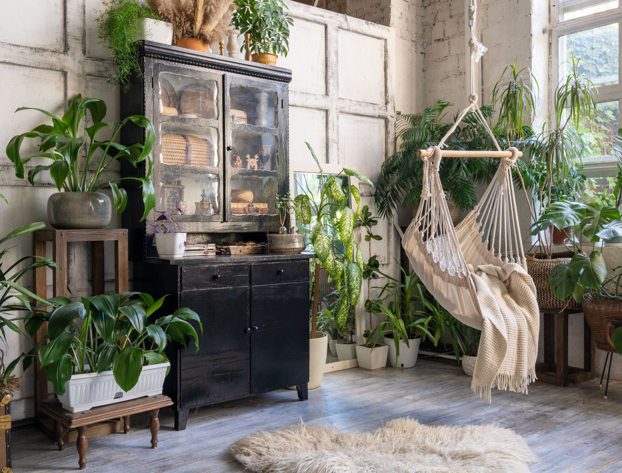 6 Tips for Decorating With Houseplants, image size:2500x1900