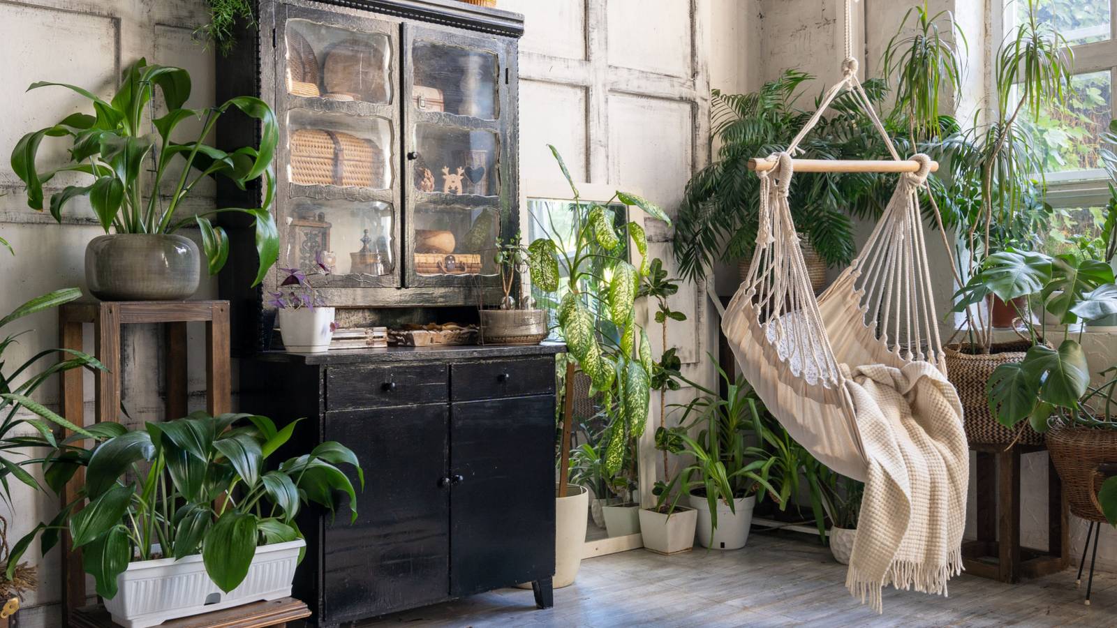 6 Tips for Decorating With Houseplants