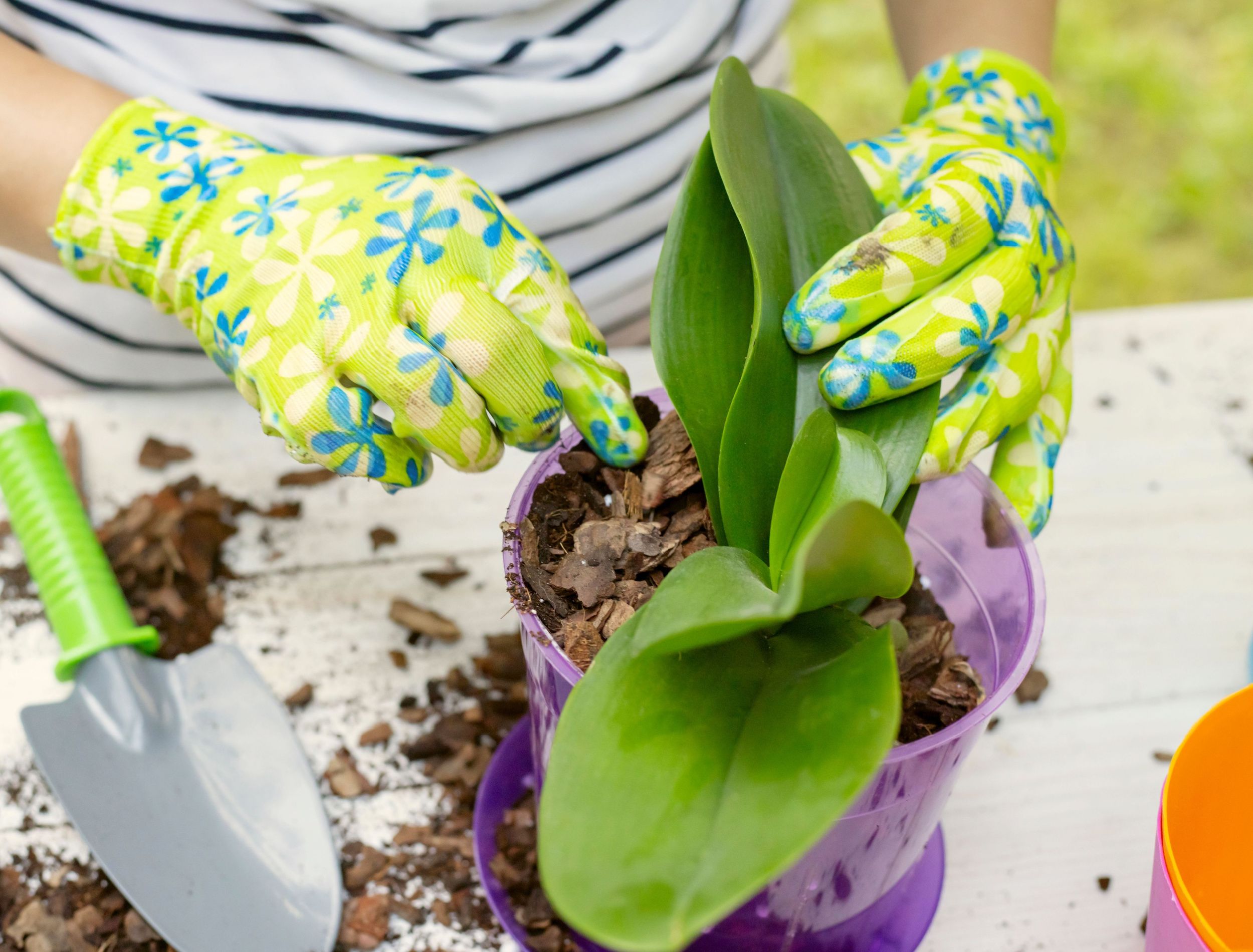 The Best Gardening Gloves for Women