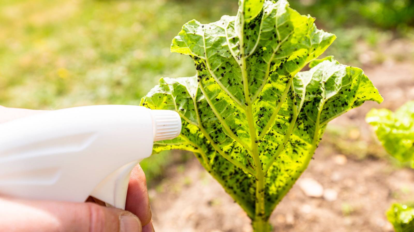 best plant watering system Epic Garden Watering System: Starter Kit
