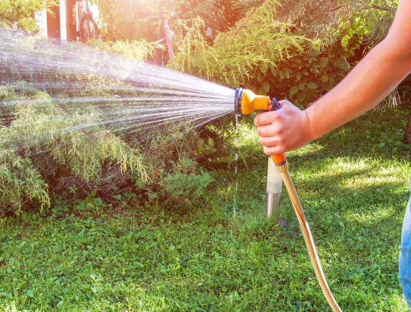 how-often-to-water-your-plants-in-a-heatwave