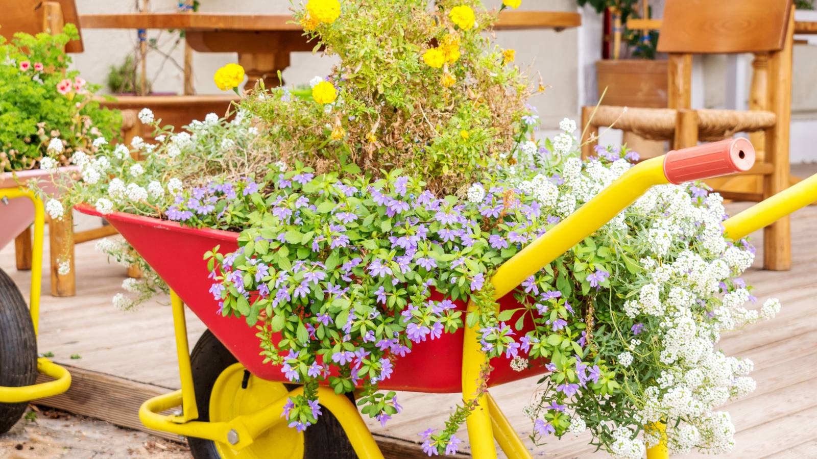 15 Awesome Container Gardening Ideas