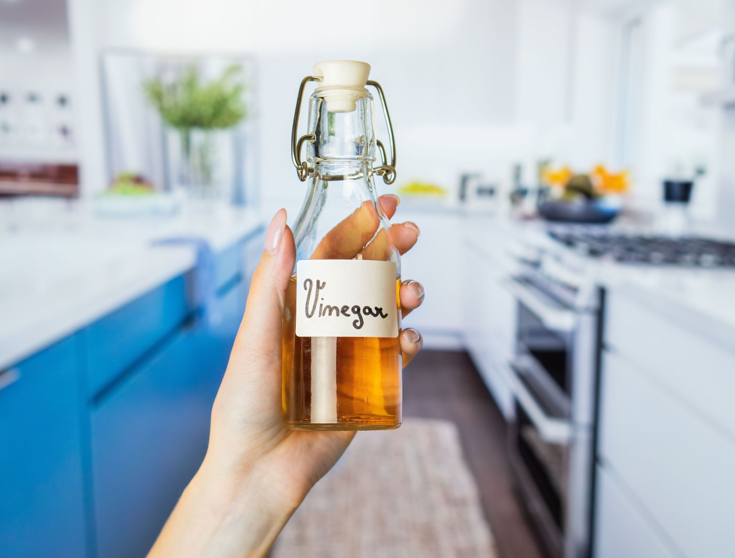 How to Use Vinegar to Prevent Flies in Your Compost