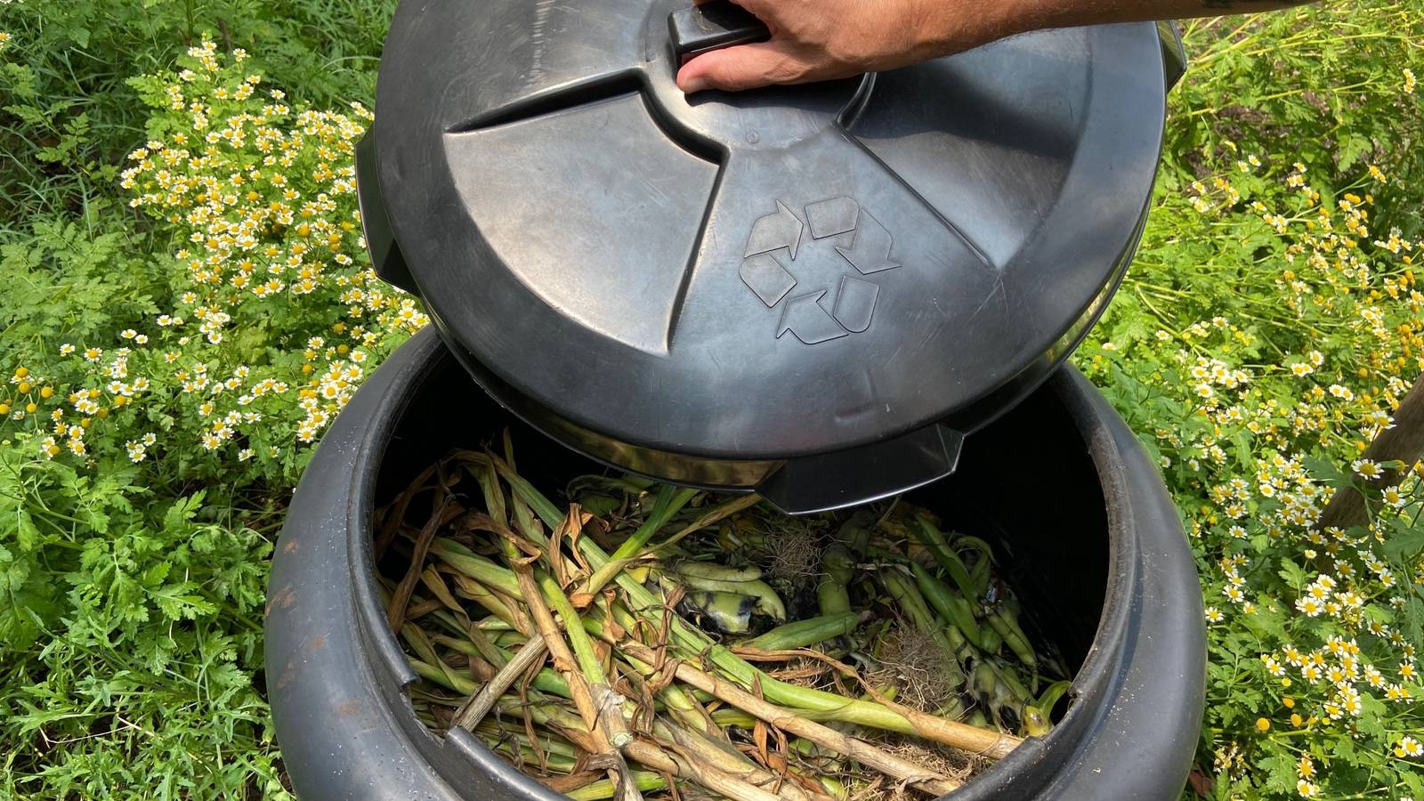 5 Ways to Keep Animals Out of Your Compost