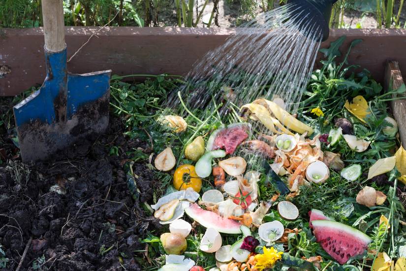 7 Ways to Speed Up Your Compost