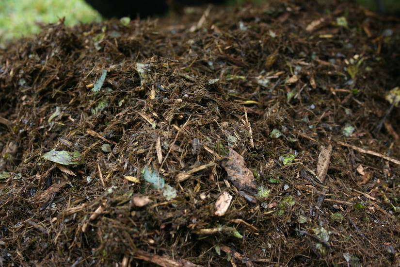 Guide to Leveling an Uneven Lawn