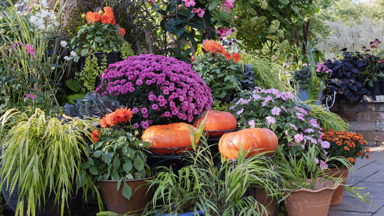 4 Fall Container Garden Ideas