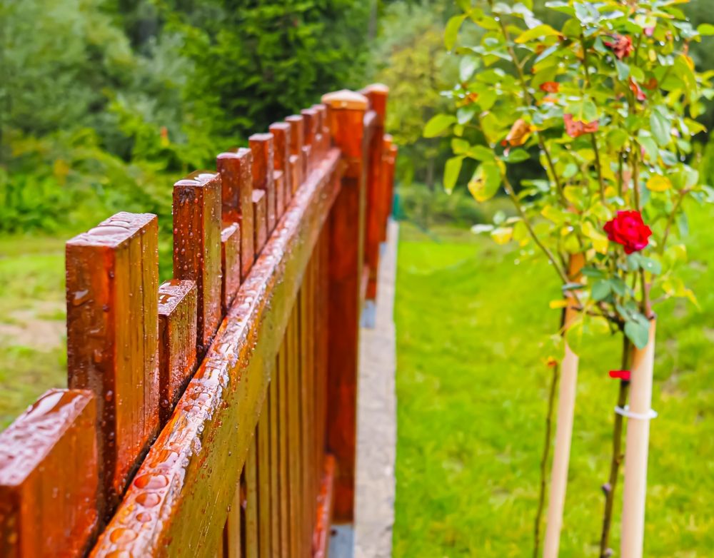view of the wet wooden fence after the rain