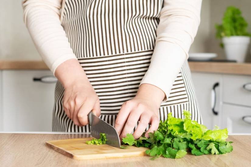 Chewing Cilantro How to Properly Prune Cilantro