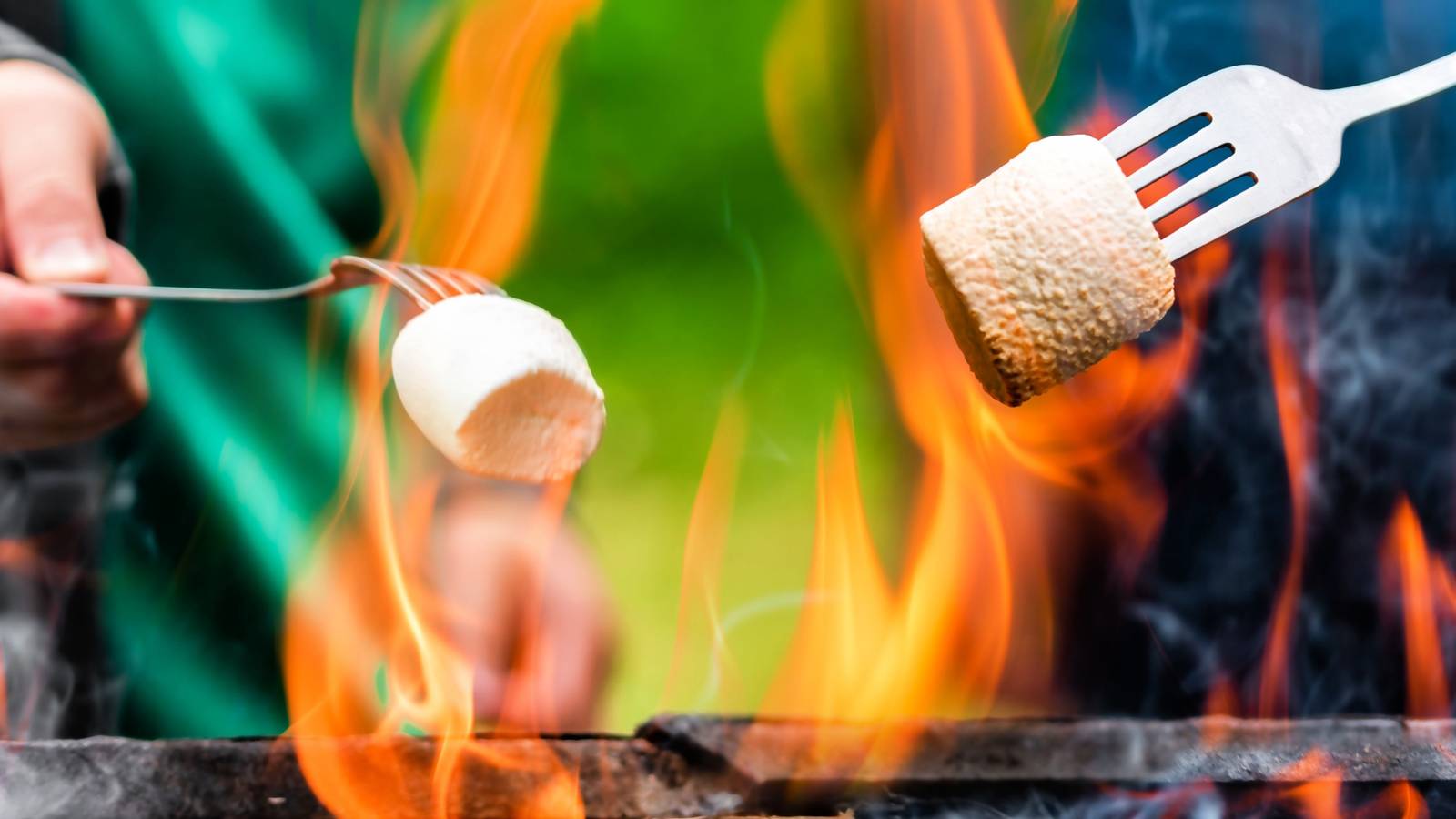 Marshmallow Confusion Solved: Plant, Candy, or Both?