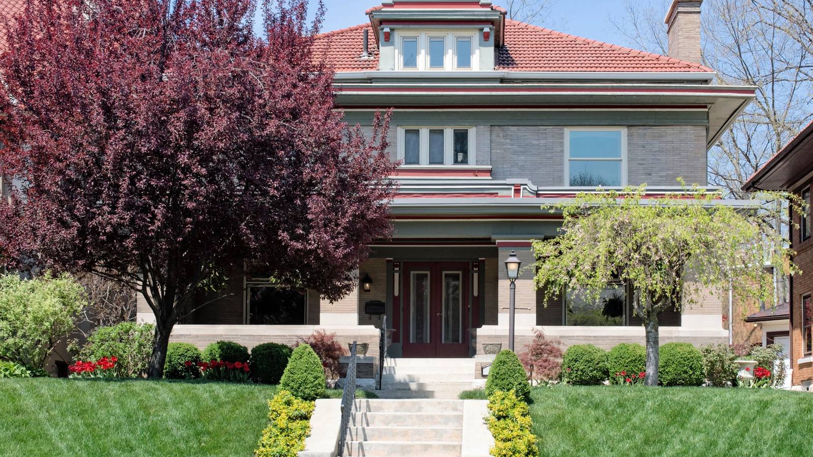 4 Trees That Increase Your Property Value