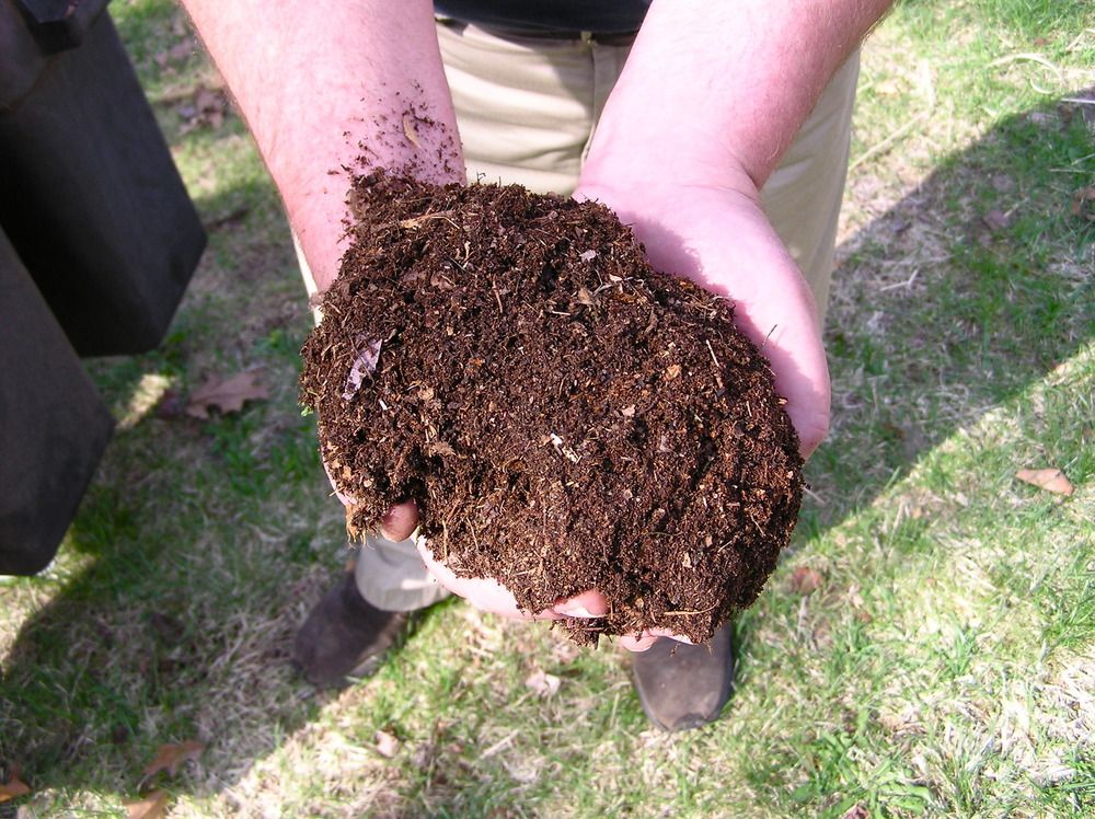 Person holding a pile of compost in their hands