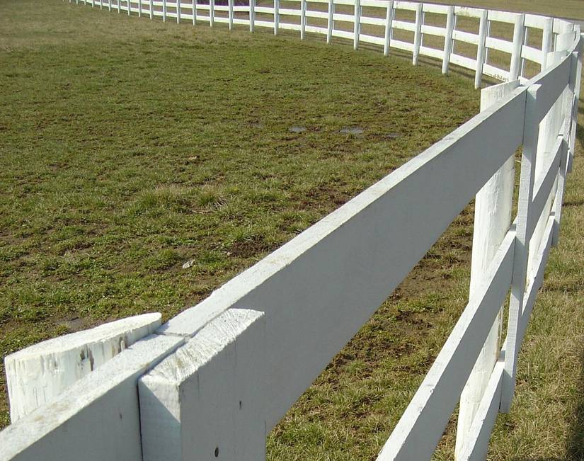 4 Charming Picket Fence Ideas For Your Landscape