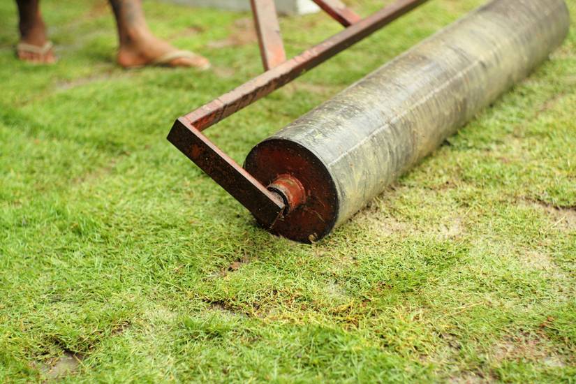 Should You Roll Your Lawn?