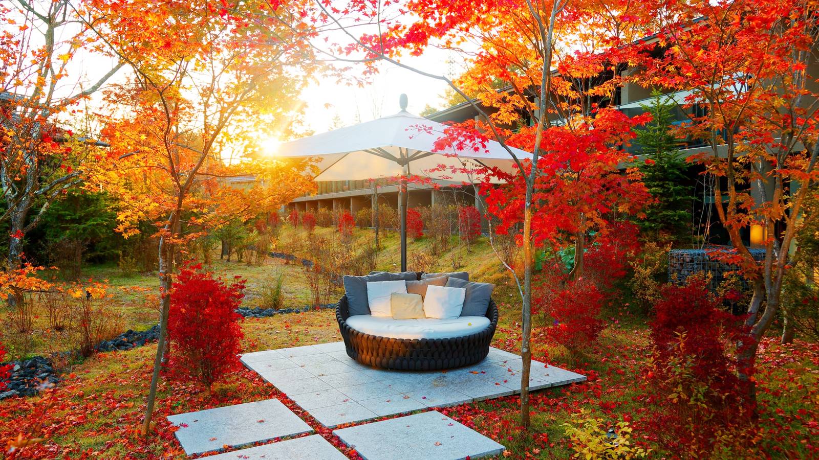 Best Place to Plant Maple Tree in Florida: Top Spots Revealed