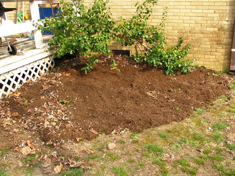 How To Use Compost For Your Lawn