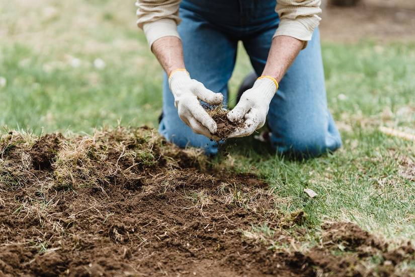 Healthy Lawn Full Website (Copy, 234 selected)