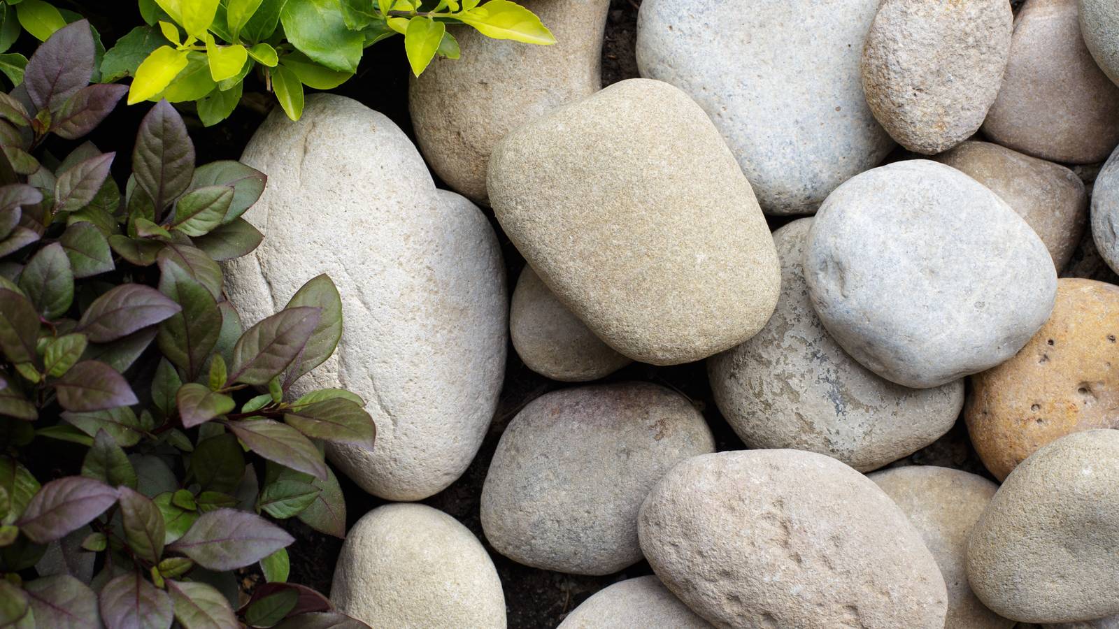 Common Backyard Rocks Best Landscaping Rocks for Your Yard in 2023
