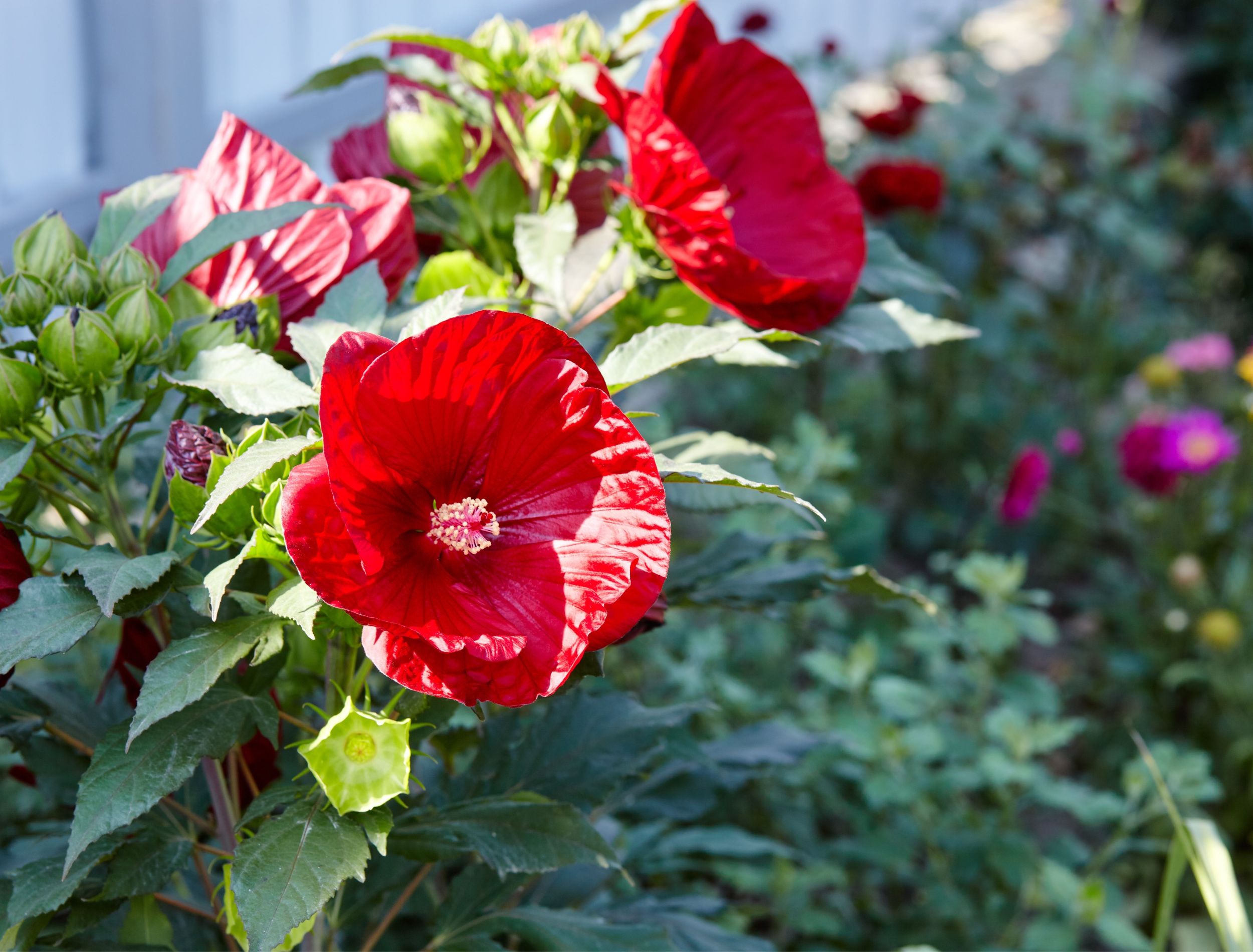 shutterstock_2186211415.jpg?w=
