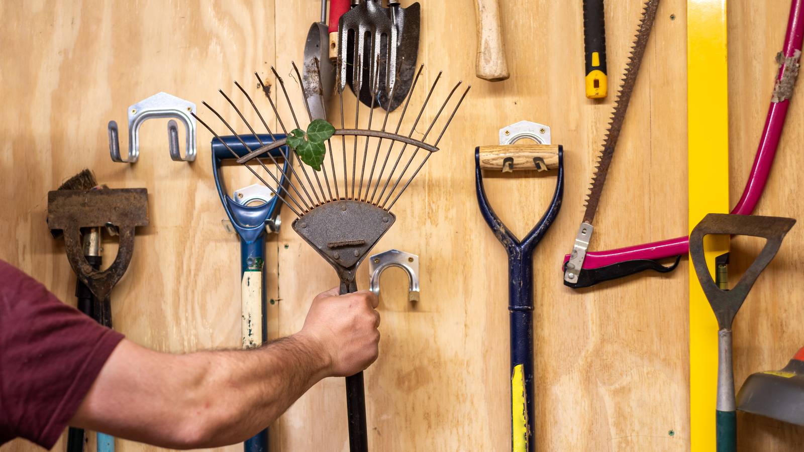 How to Organize Your Shed