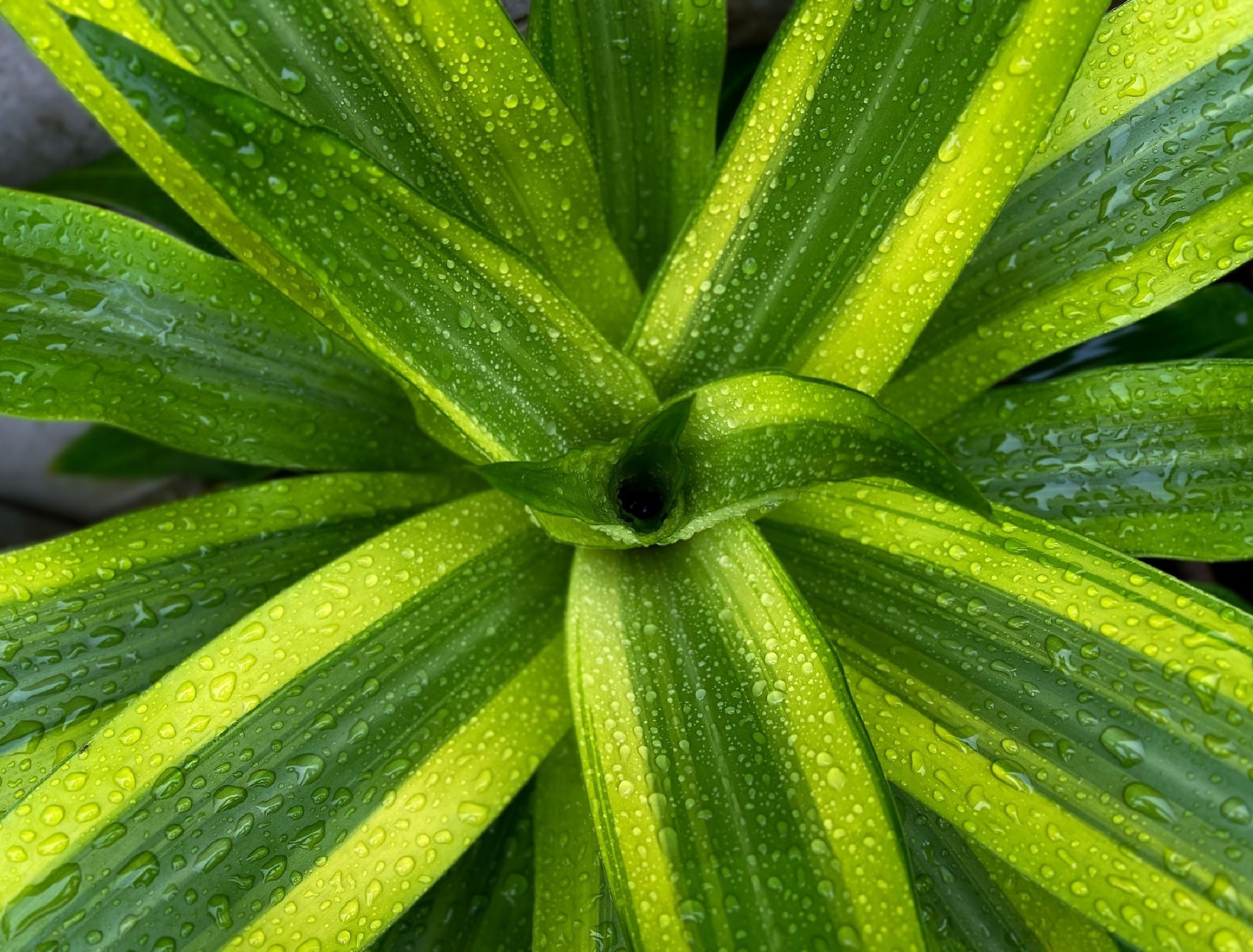 shutterstock_2248002059.jpg?w=