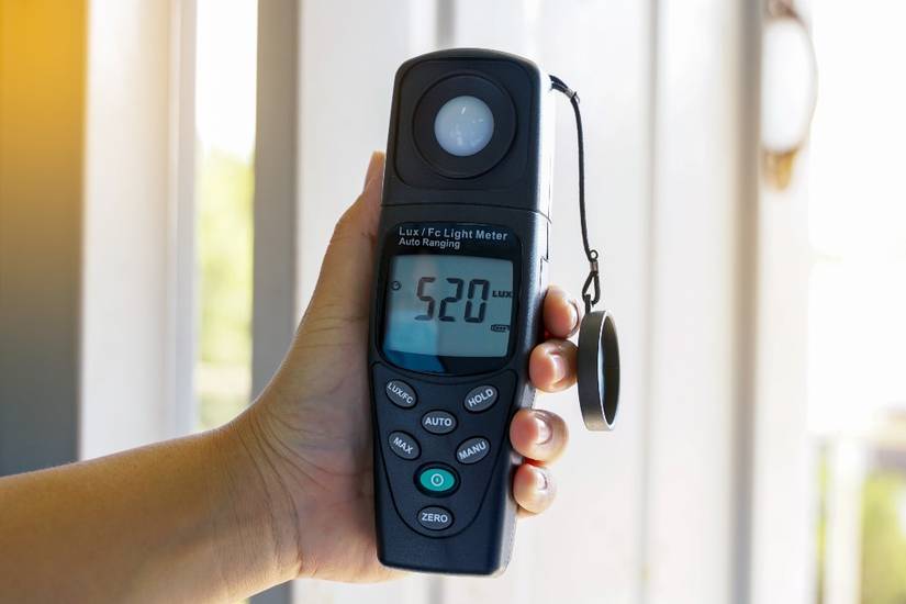 Guide to Using Natural Light For Your Houseplants