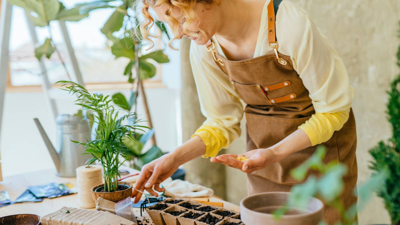 6 Ways to Cold Stratify Seeds