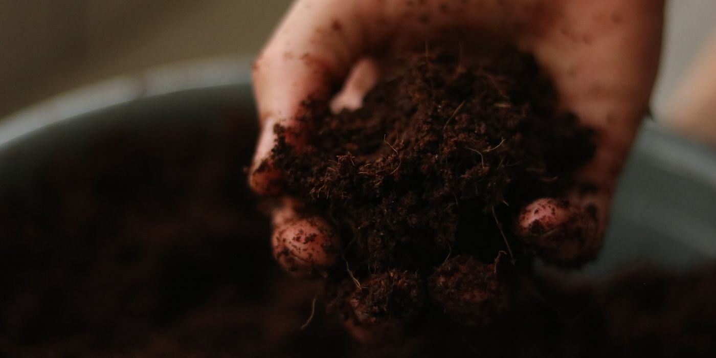 You Complete Guide to Composting Leaves