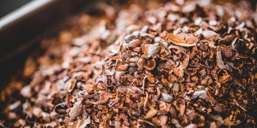 Cocoa Shell Color 8 Best Organic Mulches for Winterizing Peonies