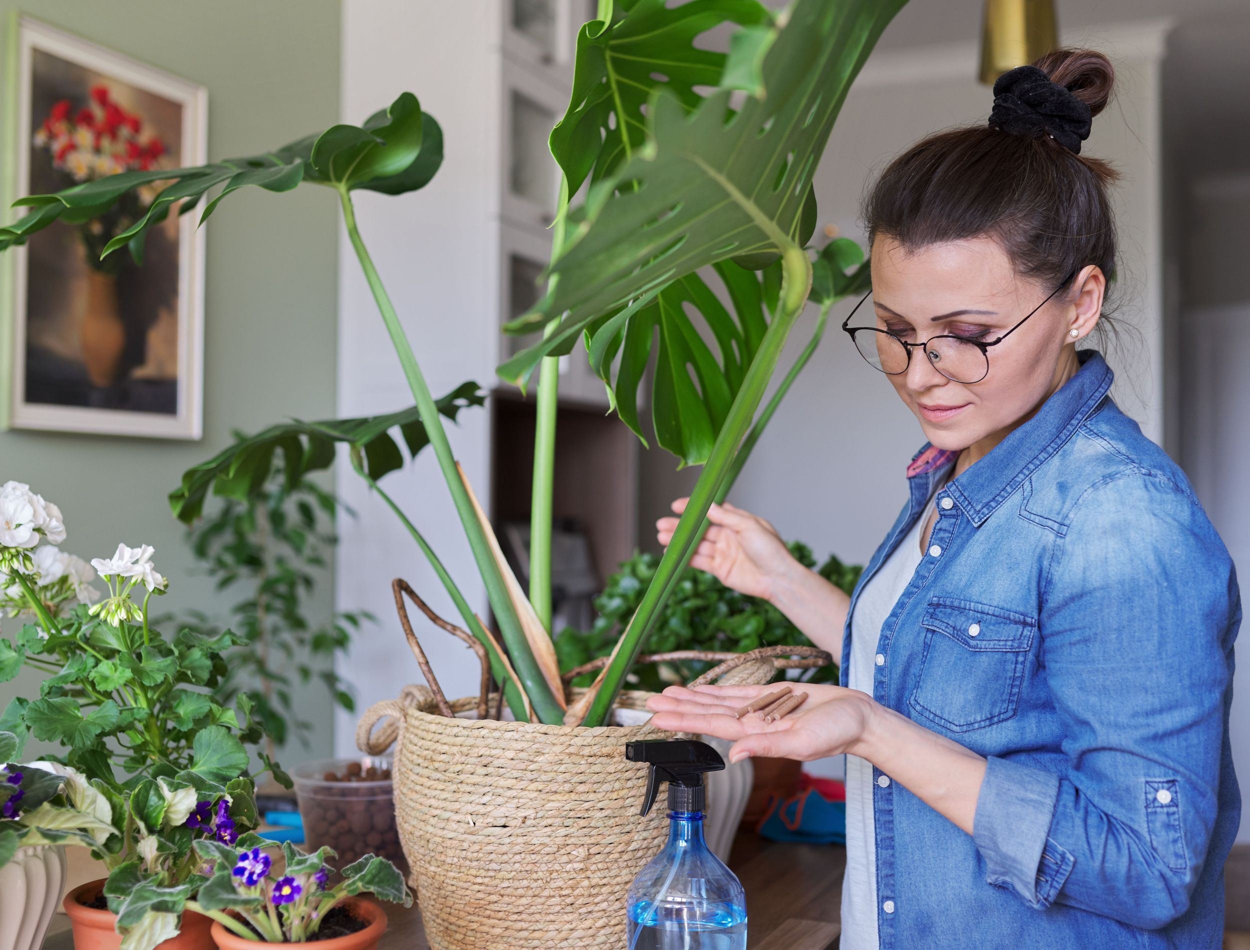 How to Fertilize Your Monstera Deliciosa to Keep It Thriving Indoors