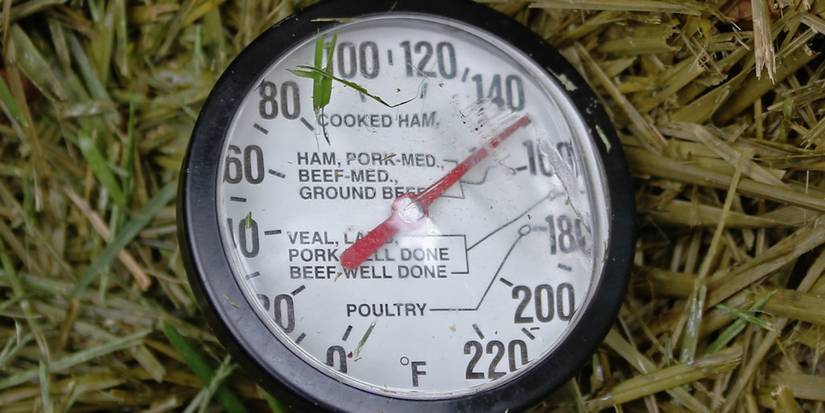 You Complete Guide to Composting Leaves