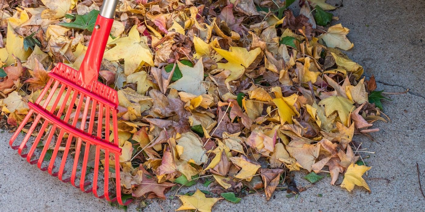 Find the Best Organic Mulch Options For Your Garden