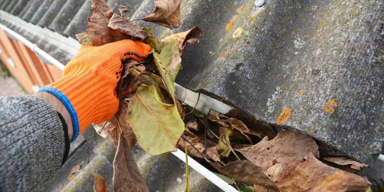 Gutter Pop Out Winter-Proof Your Home: The Essential Guide to Pop Up Gutter Drains