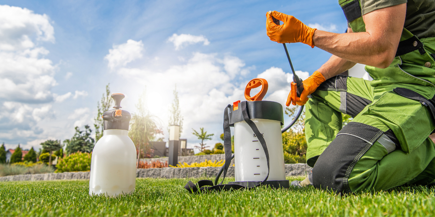 fertilize-grass-in-winter-for-a-lush-spring-lawn