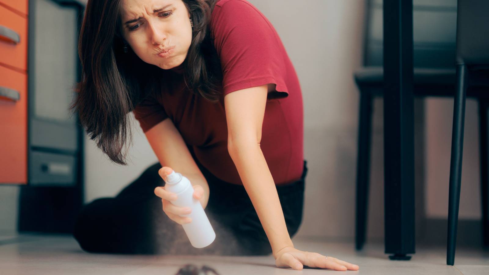 Clean Bug Learn Simple Ways To Get Rid of Water Bugs