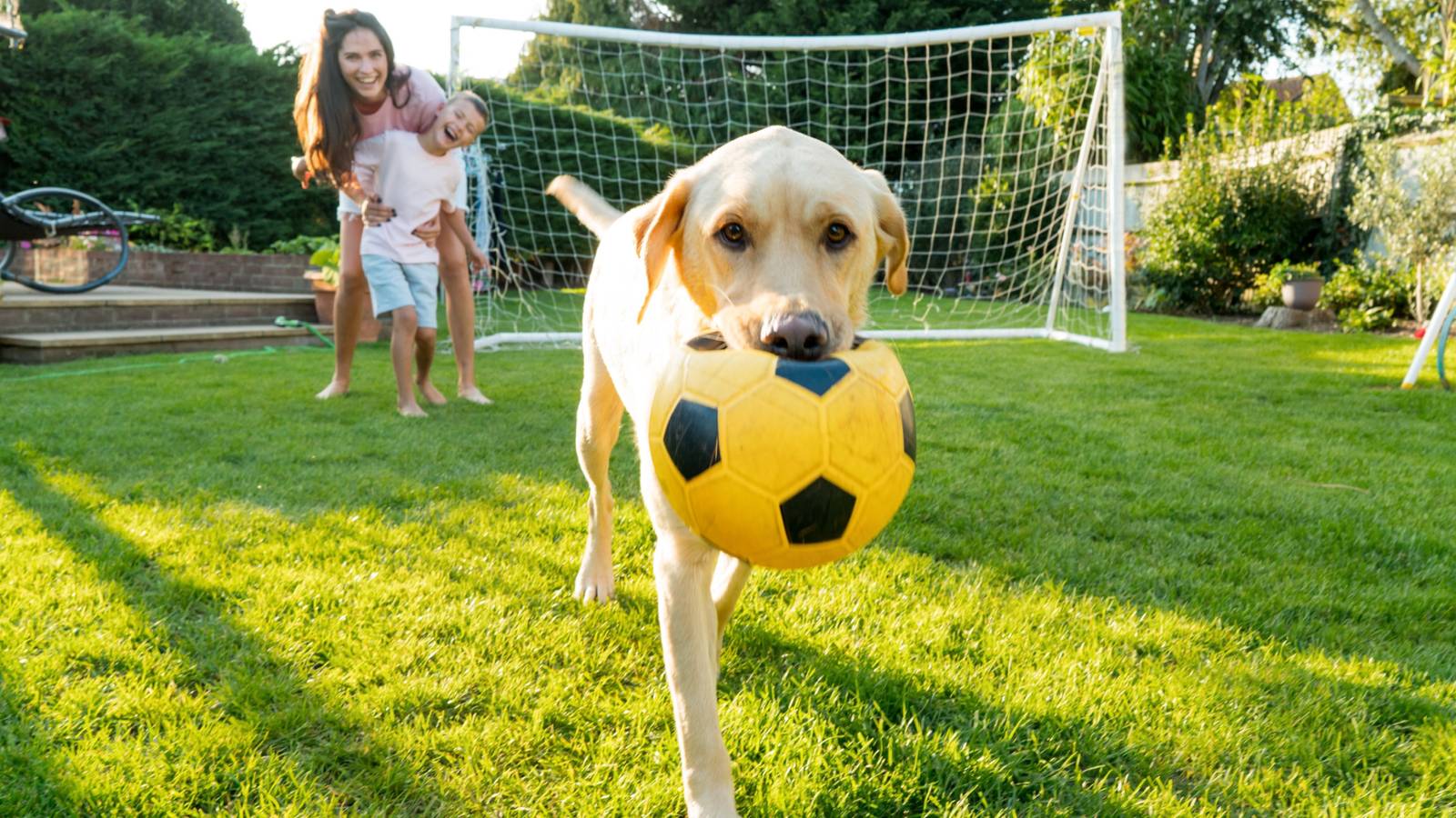A Sports Fan's Guide to Unique Outdoor Décor