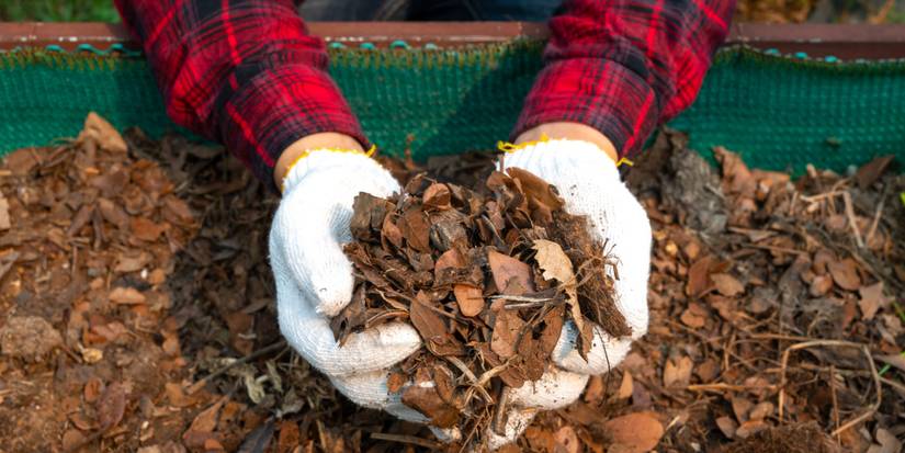 Rooting Out the Truth About Artificial Plants