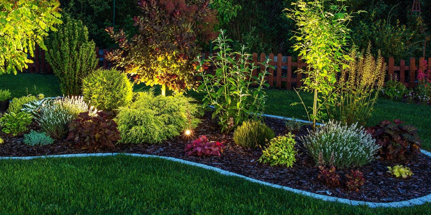 Garden with colored rope light