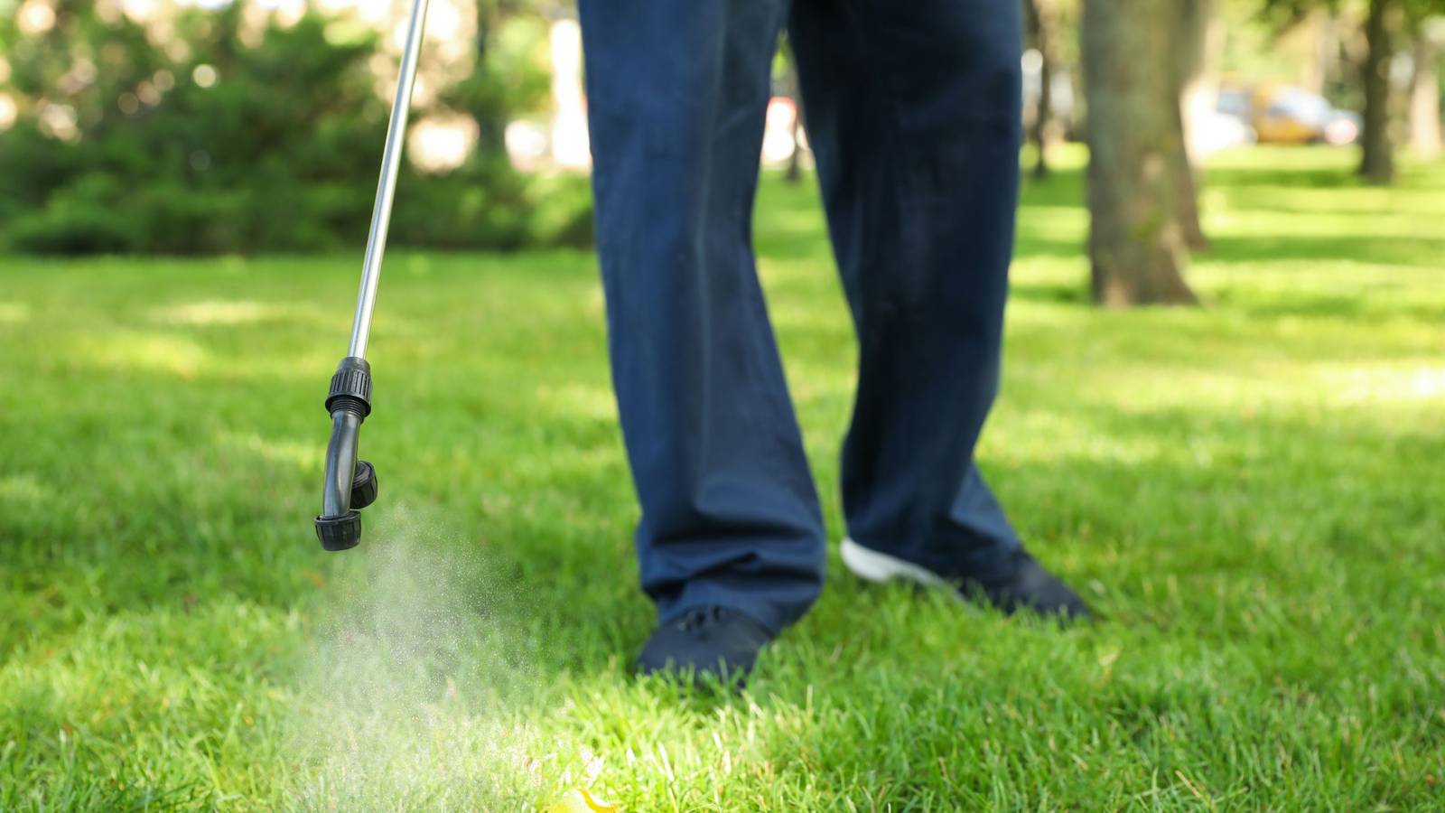 Hydroseeding: What Is It and Is It Something You Should Consider For ...