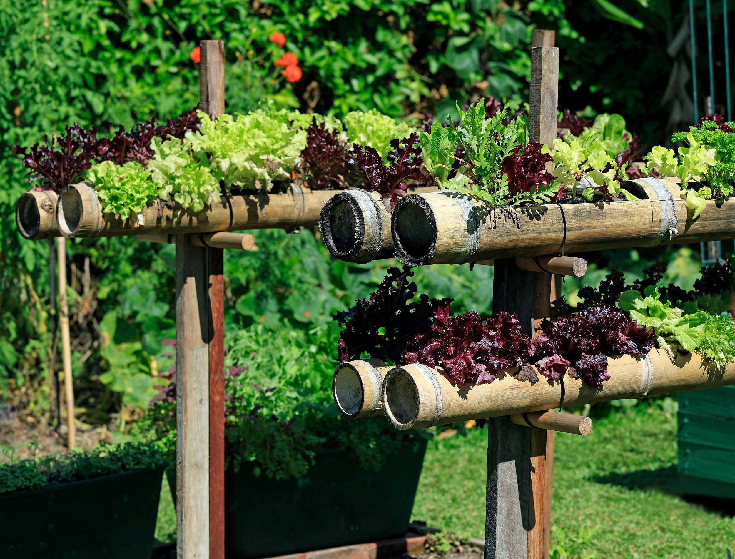 Creative Herb Garden Ideas: Transform Your Yard!, image size:2500x1900
