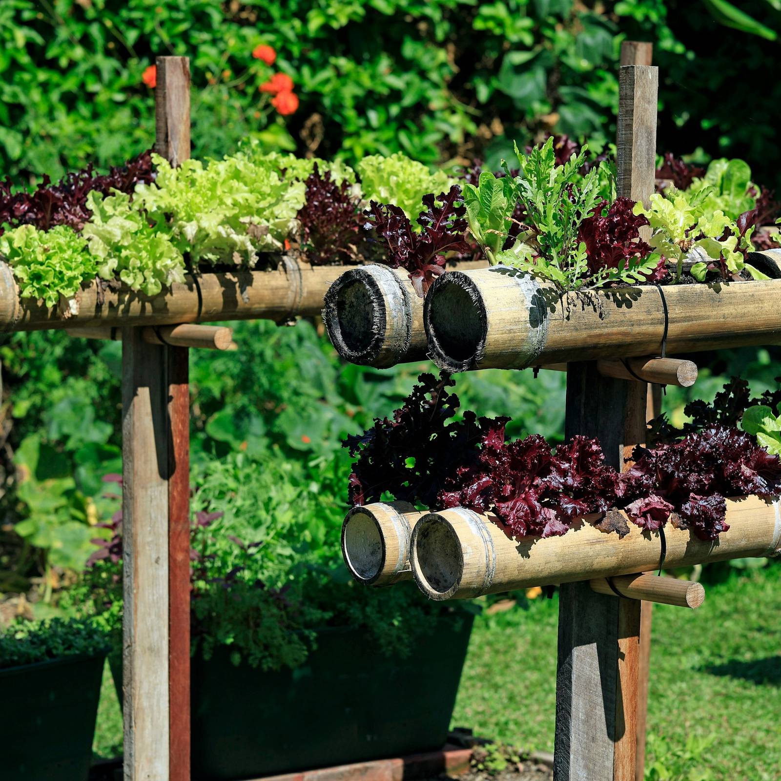 Creative Herb Garden Ideas: Transform Your Yard!, image size:1600x1600