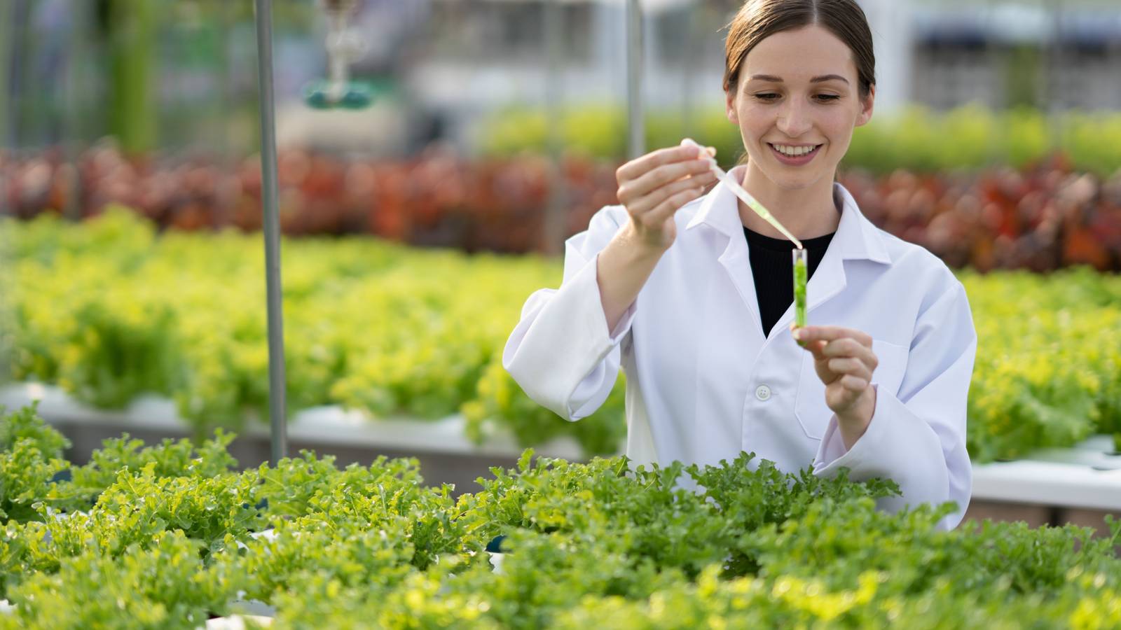 Why Changing Offensive Plant Names Matters