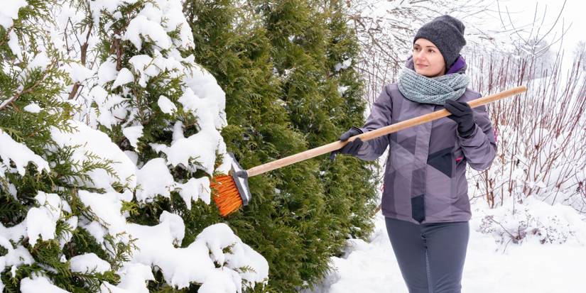 Winter Yard Tips: Expert Advice on Snow Removal and Tree Care