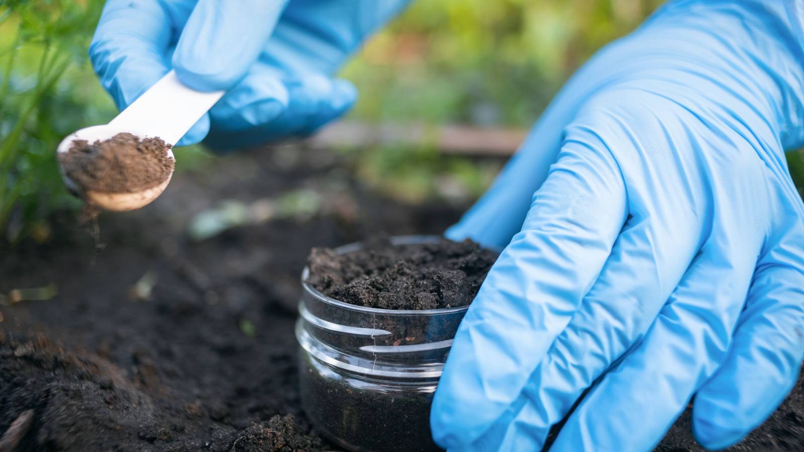 Kick Off the New Year With The Ultimate Garden Checklist