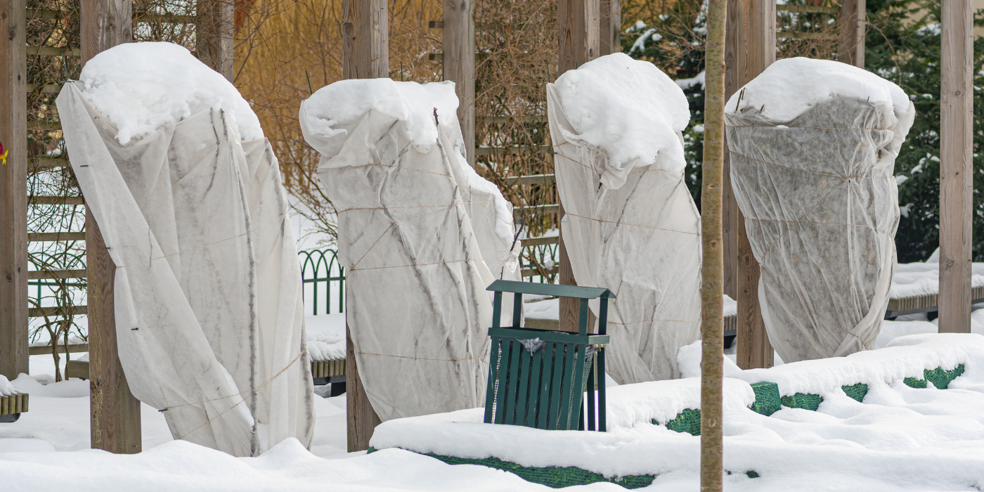 Insulate Your Garden: Keep Plants Safe During Frosty Weather